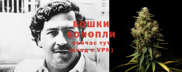 Альфа ПВП Каменка