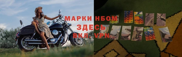 Альфа ПВП Каменка