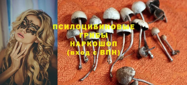 Альфа ПВП Каменка