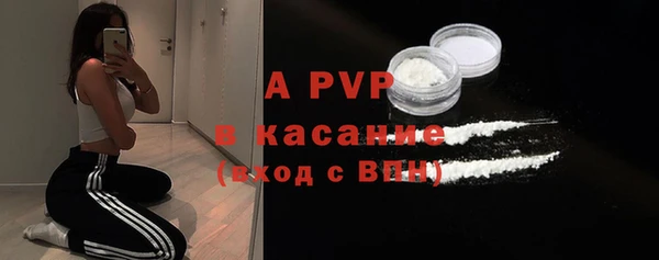 Альфа ПВП Каменка
